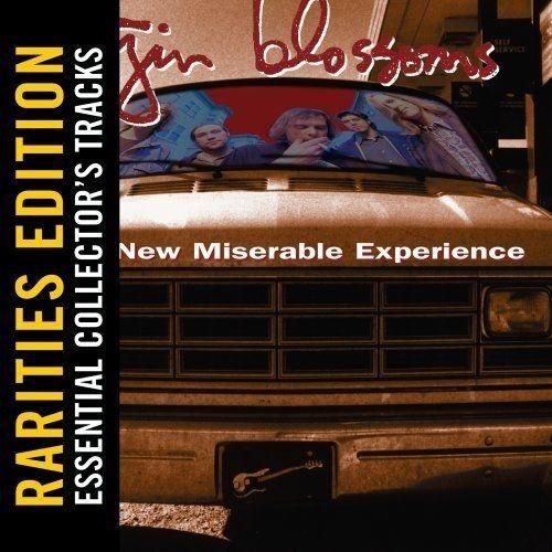 New Miserable Experience (Rarities Edition)