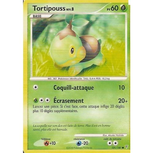 Tortipouss-Pokémon-Niv8-60pv