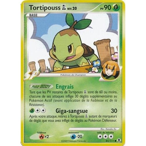 Tortipouss