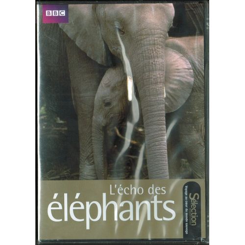 Bbc L'echo Des Elephants