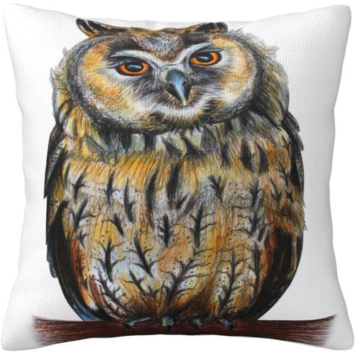 Housse De Coussin Décorative En Forme De Hibou Aquarelle, Motif Animal Dessiné À La Main, Housse De Coussin Pour La Maison, Canapé, Lit, Canapé, 45,7 X 45,7 Cm