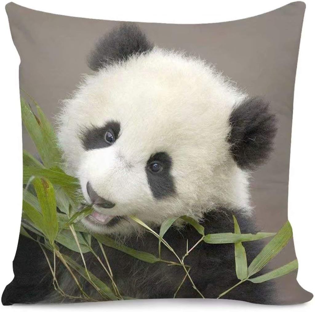 Lot De 1 Housse De Coussin Motif Panda - Décoration D'intérieur - Mélange De Coton - Housse De Coussin Carrée Décorative - Taie D'oreiller Pour Canapé, Lit, Chaise - 45,7 X 45,7 Cm