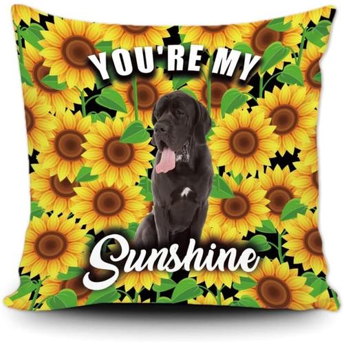 Bagyou Taie D'oreiller Motif Chien Dogue Allemand Tournesols Printemps Été Motif Floral You Are My Sunshine Pour Salon Voiture 50,8 X 50,8 Cm Imprimé Double Face