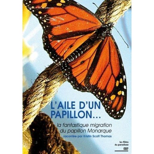 L'aile D'un Papillon...