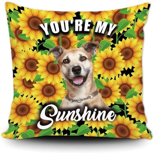 Taie D'oreiller À Fleurs De Tournesol, Taie D'oreiller Avec Chien Staffie Mignon, Décoration De Maison, You Are My Sunshine, 20x20 Pouces