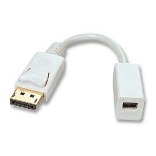 LINDY - 41060 - CÂBLE ADAPTATEUR DP VERS MINI-DISPLAYPORT - FEMELLE