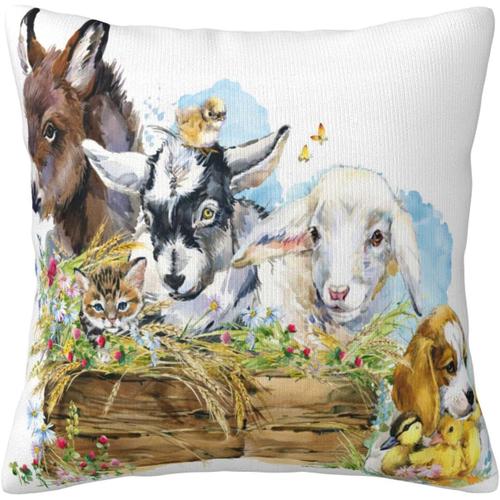 Housses De Coussin Animaux De La Ferme, Âne, Poulet, Chèvre, Chien, Canard, Taies D'oreiller Carrées En Peluche Pour Canapé-Lit, Décoration D'intérieur 45 Cm X 45 Cm (18"" X 18"")