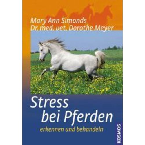 Stress Bei Pferden