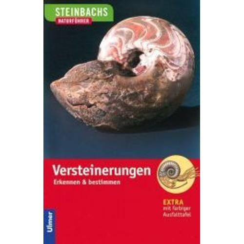 Steinbachs Naturführer. Versteinerungen