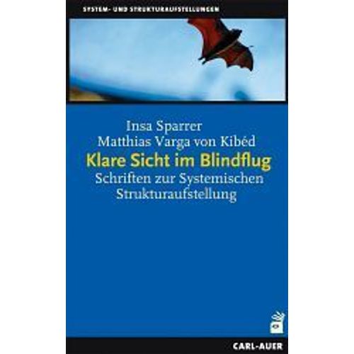 Klare Sicht Im Blindflug