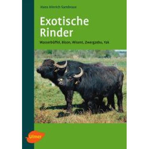 Exotische Rinder
