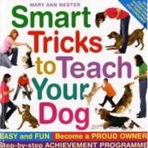 Smart Tricks To Teach Your Dog