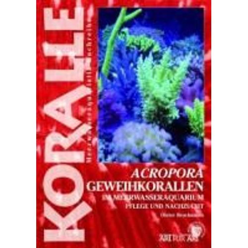 Art Für Art 15. Acropora-Geweihkorallen