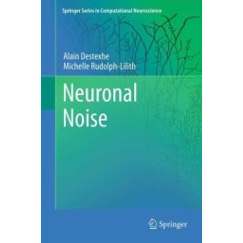 Neuronal Noise