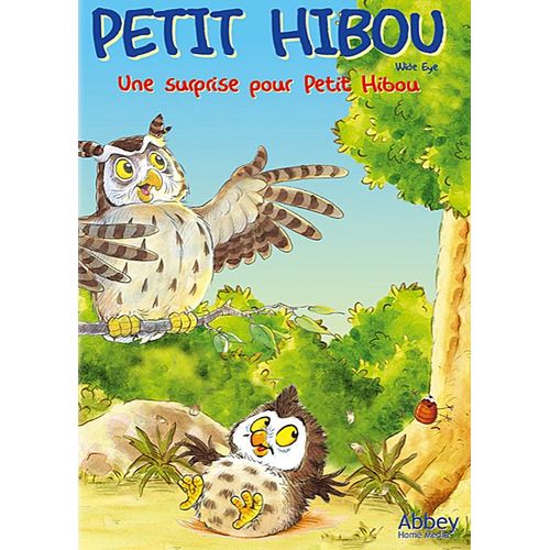 Petit Hibou - Une Surprise Pour Petit Hibou