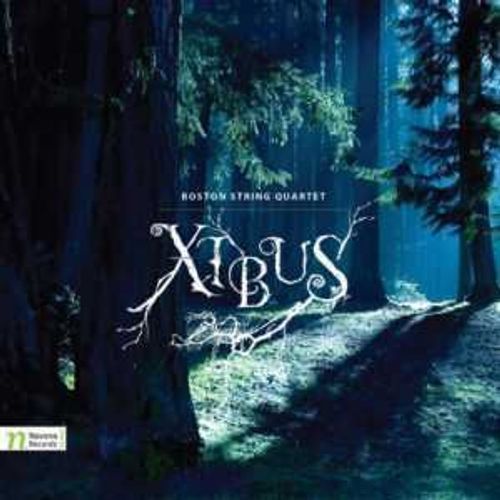 Nelson Navarette - Karl Jenkins - Christopher Vuk Navarette, N.: Polaris / Jenkins, K.: Palladio / Yazigi, M.: Roads / Anneken, U.: The Woods / Courduvelis, J.: Like It Is (Boston String ...