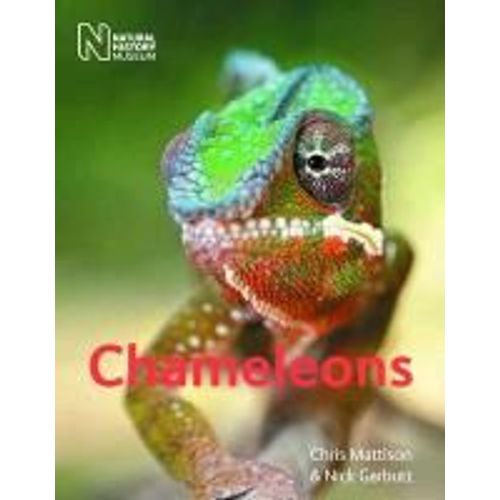 Chameleons