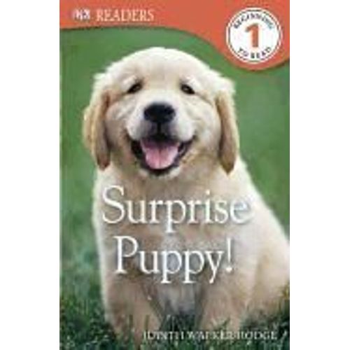 Dk Readers L1: Surprise Puppy