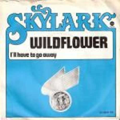Wildflower