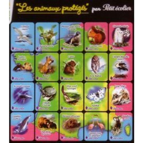 Magnet Petit Écolier: Loutre, Bretagne