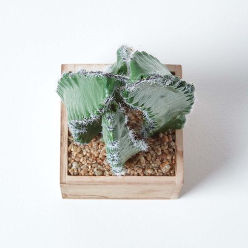 Cactus cierge artificiel en pot carré en bois MDF 33 cm
