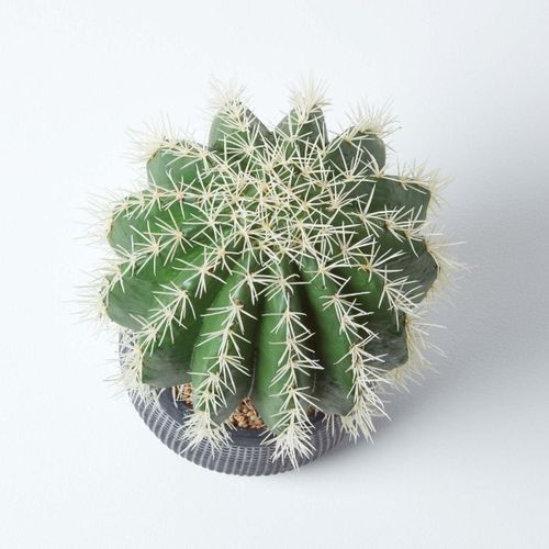 Cactus artificiel "Echinocactus Grusonii" en pot en ciment sculpté 38 cm