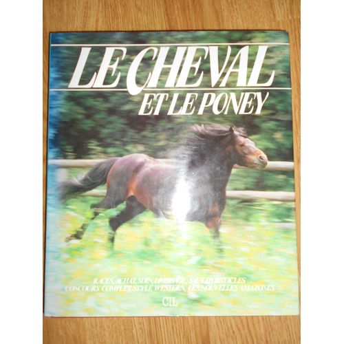 Le Cheval Et Le Poney