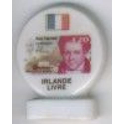 Fève Plate Avec Socle : Série Passage À L'euro : Irlande Livre ( Billet , Drapeau)