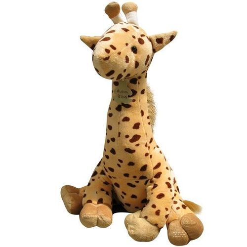 Histoire D'ours - Girafe Gm