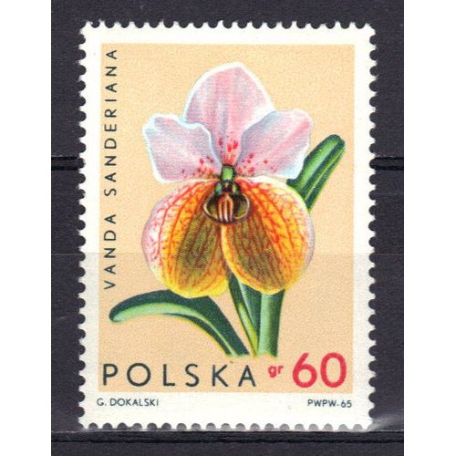 Pologne 1965 : Orchidée : Wanda Sanderiana - Timbre Neuf *