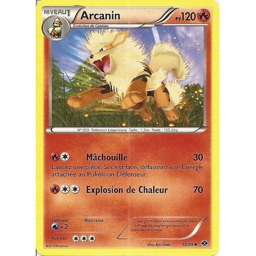 Arcanin 13/99 - Destinées Futures