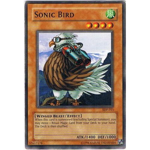 Oiseau Supersonic - Anglais - Sonic Bird - Sdp-011 - Commune