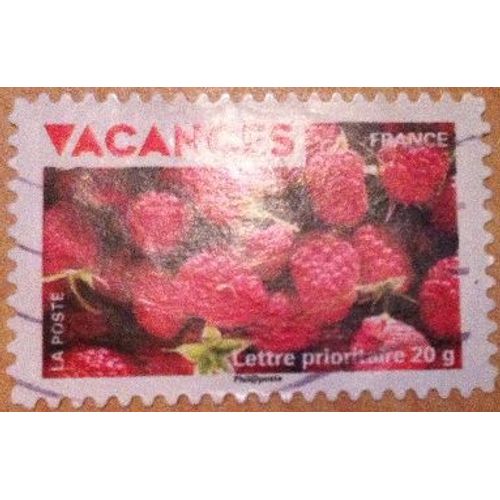 Timbres Autoadhésifs De 2009 En Très Bon État N°325.