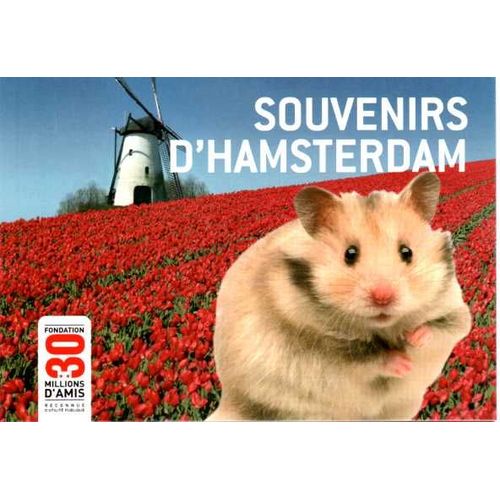 Carte "Souvenirs D'hamsterdam" Fondation 30 Millions D'amis