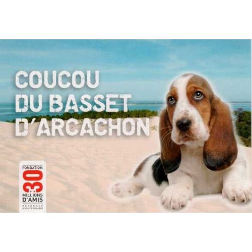 Carte Postale "Coucou Du Basset D'arcachon"30 Millions D'amis