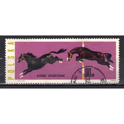 Pologne 1963 : Chevaux De Course - Timbre Oblitéré
