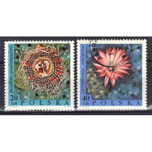 Pologne 1968 : Fleurs Diverses : Passiflora Quadrangularis / Coryphanta Vivipara - Série De 2 Timbres Oblitérés