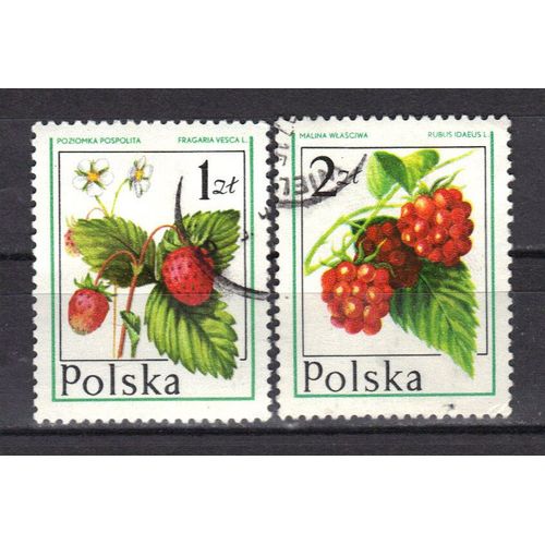 Pologne 1977 : Fruits Des Forêts - Série De 2 Timbres Oblitérés