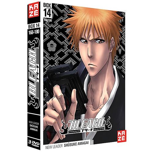 Bleach - Saison 4 : Box 14 : New Leader : Shûsuke Amagai