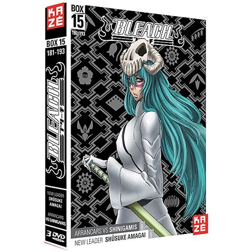 Bleach - Saison 4 : Box 15 : Arrancars Vs Shinigamis, Part 1