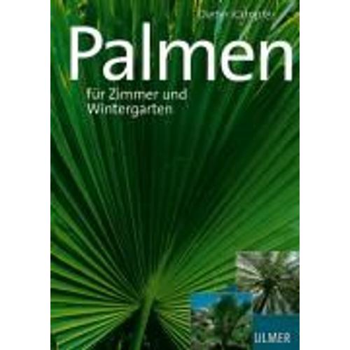 Schöne Palmen Für Zimmer Und Wintergarten