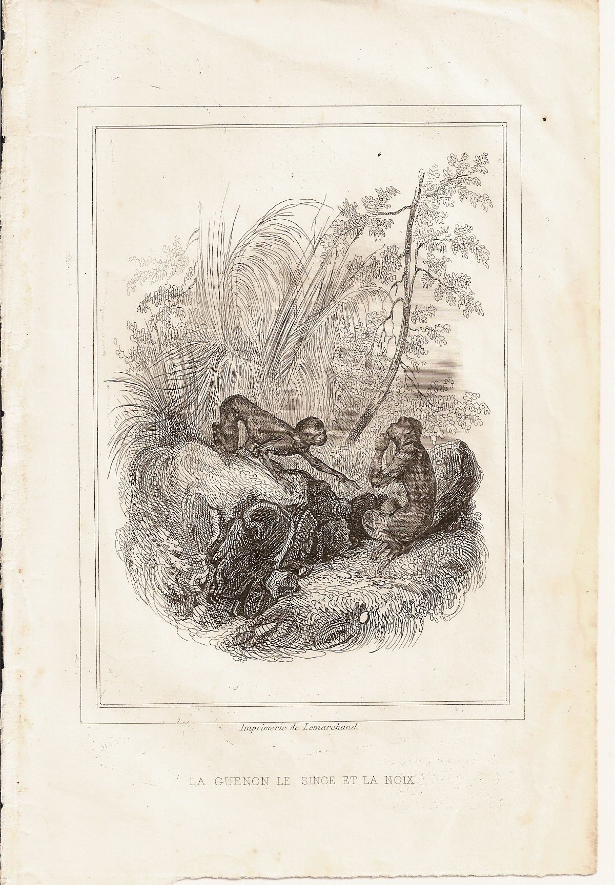 Illustration La Guenon Le Singe Et La Noix Florian, fables (illustrées par victor adam), La guenon, le singe et la noix. | Rakuten