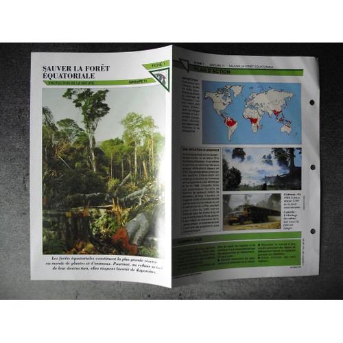 Fiche Plan D'action Sauver La Forêt Équatoriale