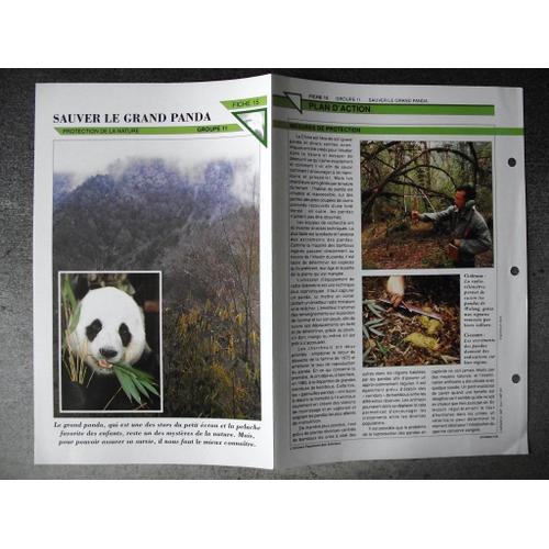 Fiche Plan  D'action Sauver Le Grand Panda