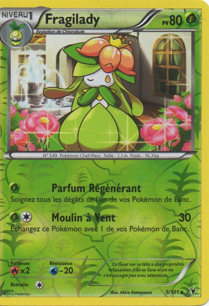 Fragilady 5/101  Pokemon Noir Et Blanc