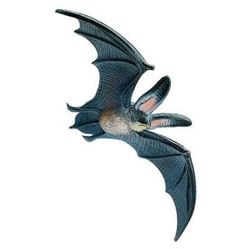 Chauve-Souris B?B?