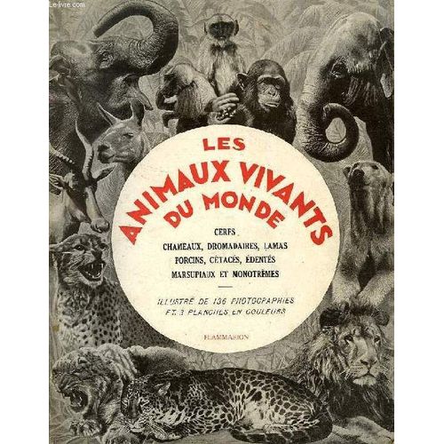 Les Animaux Vivants Du Monde