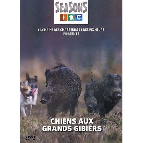 Chiens Aux Grands Gibiers