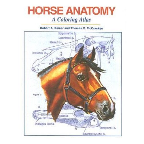Horse Anatomy: A Coloring Atlas