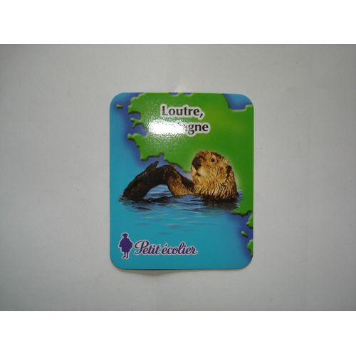 Petit Écolier Animaux Loutre